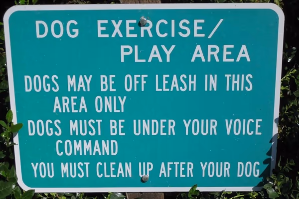 Aspen Greenbelt Off-Leash Dog Area photo 1